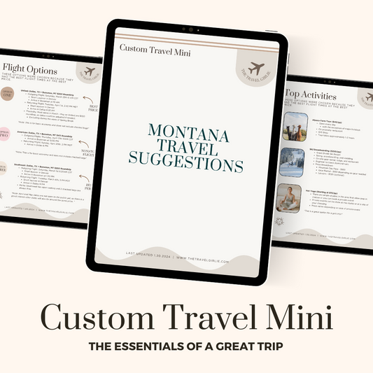 Custom Travel Minis